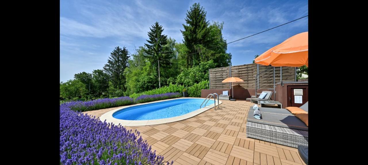 Juras Country House, Bazen, Sauna ,Hot Tube,Vrt Sveti Ivan Zelina Exteriör bild